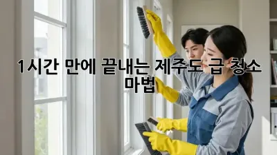 1시간 만에 끝내는 제주도 급 청소 마법! ✨