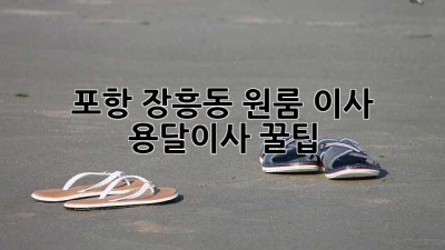포항 장흥동 원룸 이사, 용달이사 꿀팁!